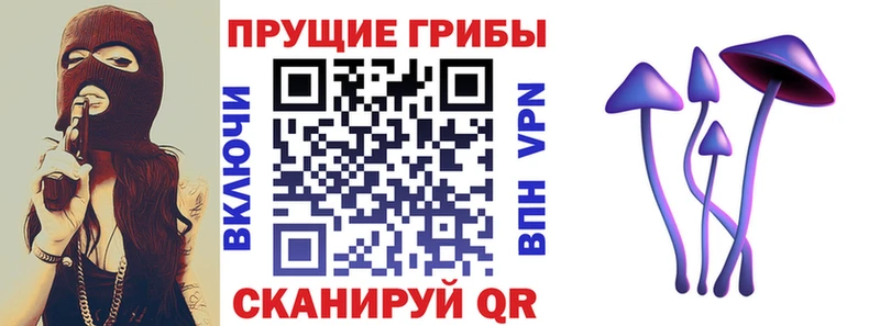 Псилоцибиновые грибы мухоморы  магазин продажи наркотиков  Элиста 